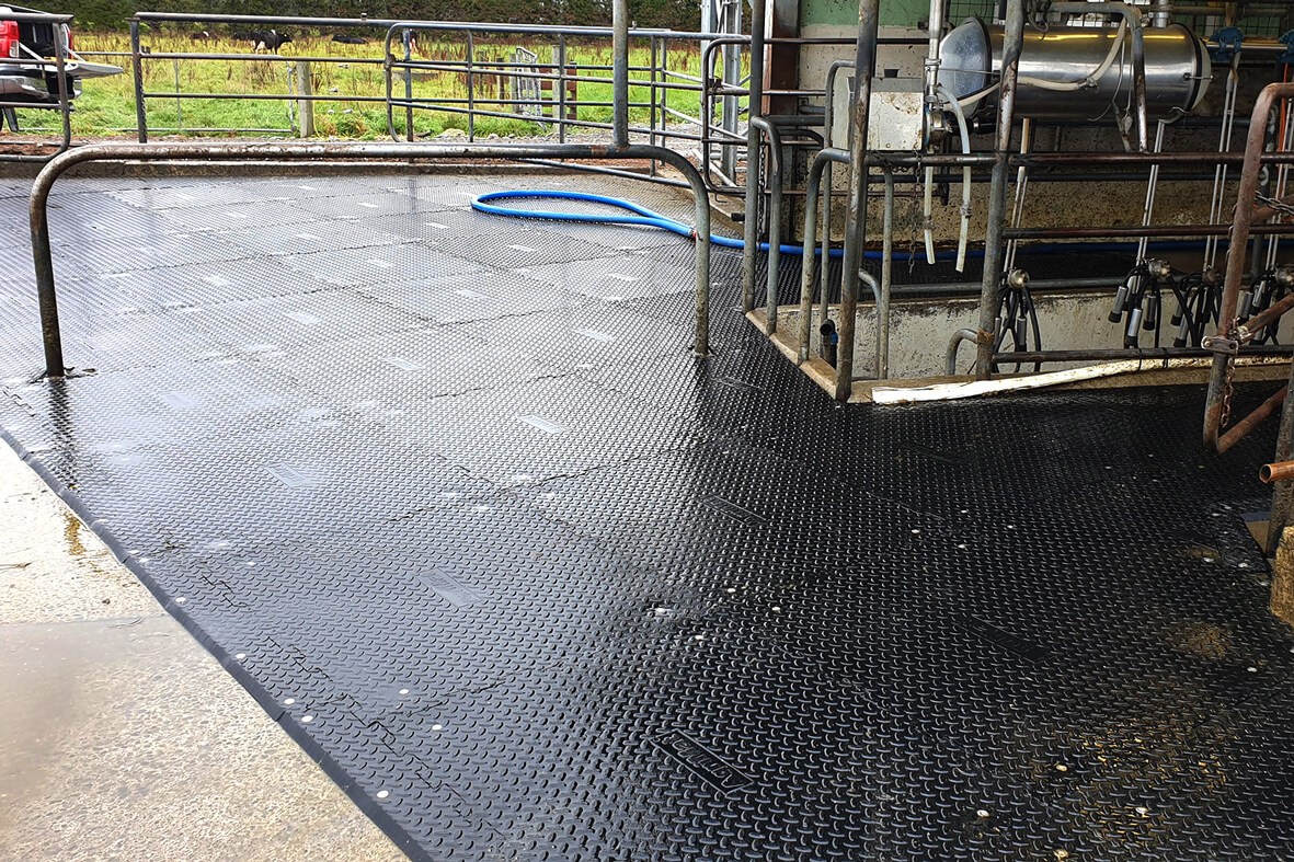 Ramp edge milking shed