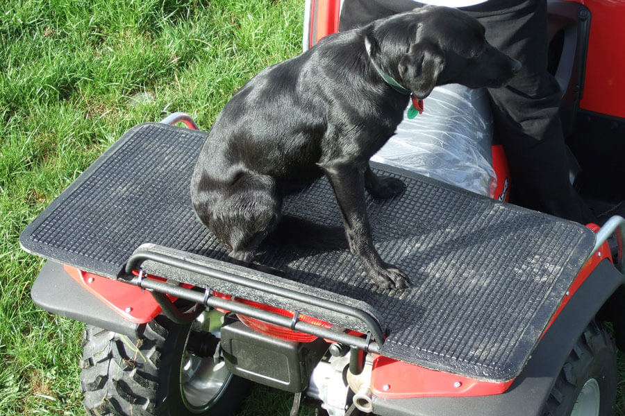 Dog sitting on a Numat ATV mat