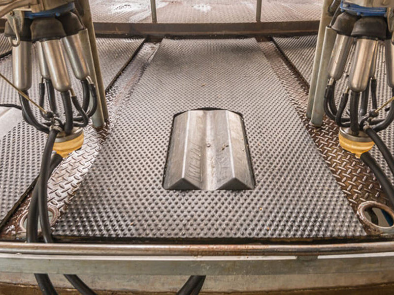 rotary platform with platform mat installed