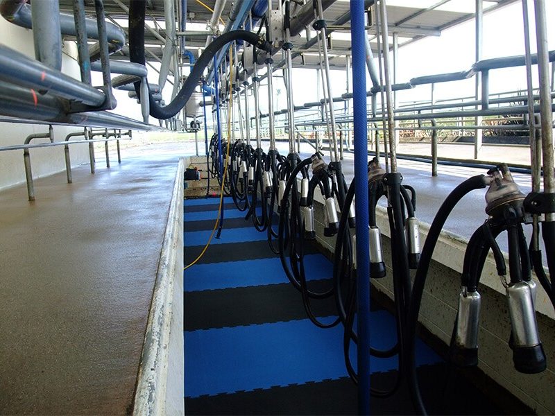 comfortzone mats installed in a herringbone pit