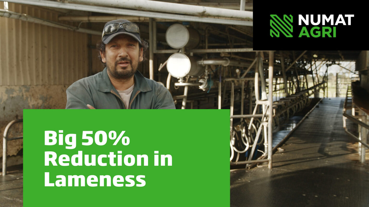 Big 50% Reduction in Lameness at ANP Farms - NumatAGRI | NZ