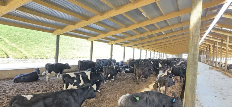 Mega composting barn cost and prices