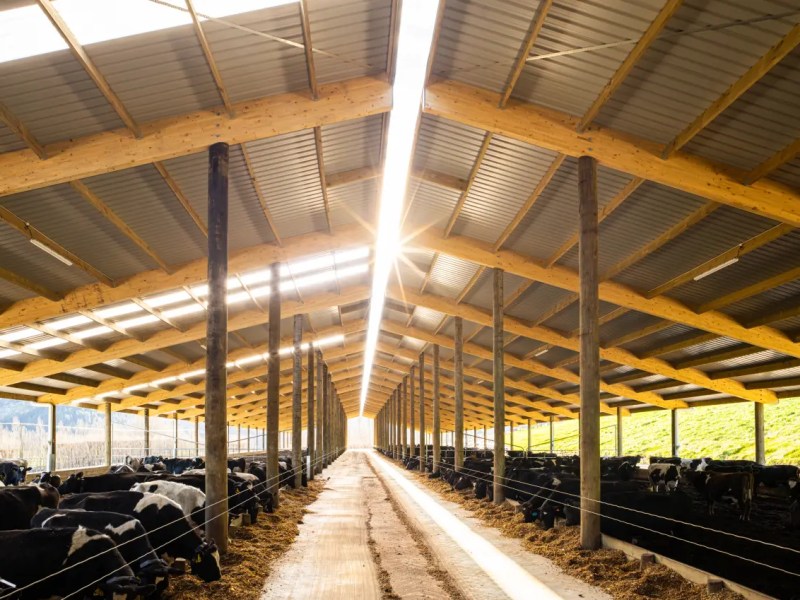 Willesden Farms composting barn