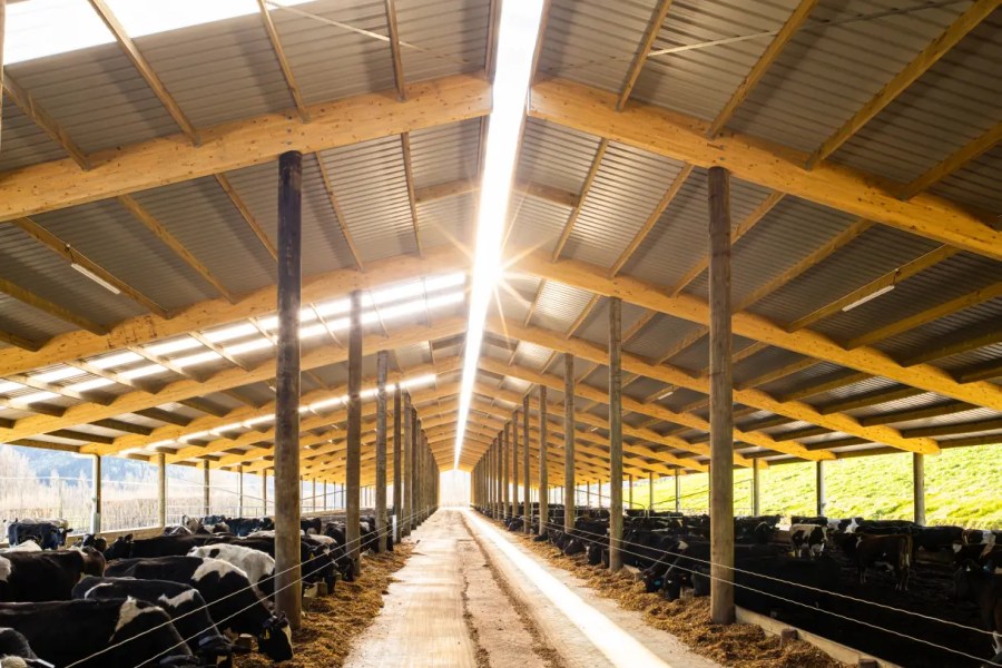 Willesden Farms composting barn