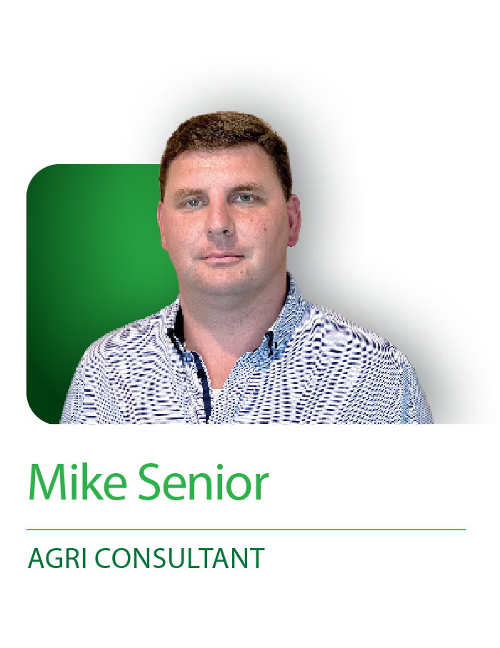 Mike Senior
