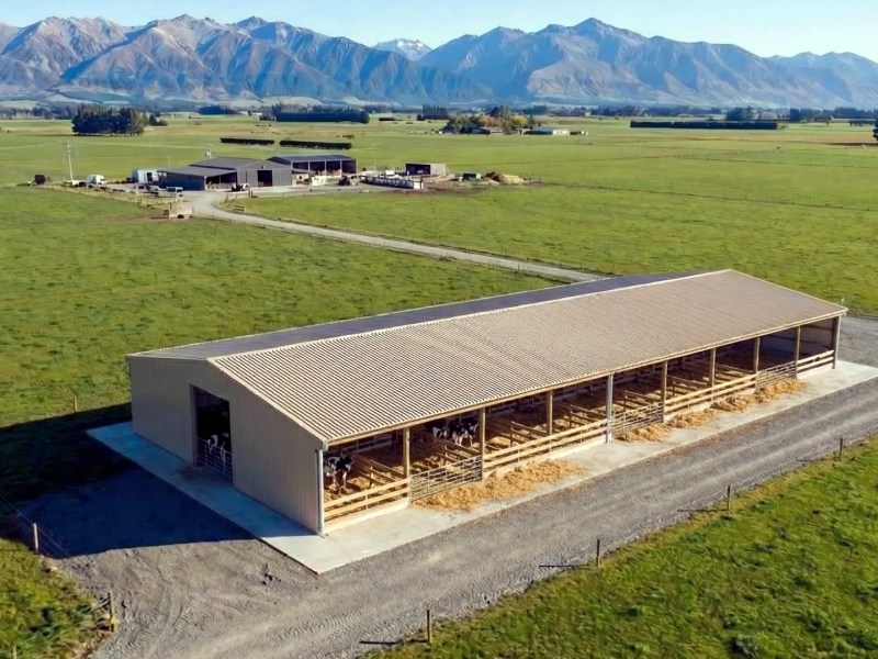 9 bay centre feeding lane calf shed
