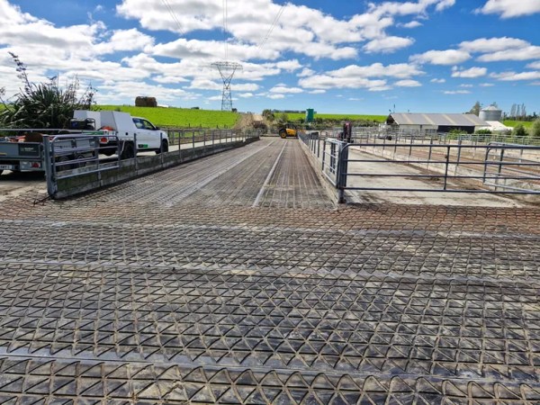 Dairy Grip on Lane Farming