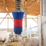 Flexi Swing Scratch Brush