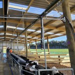 Farm Shed 9 Bay Gable