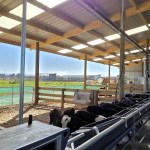 Farm Shed 9 Bay Gable