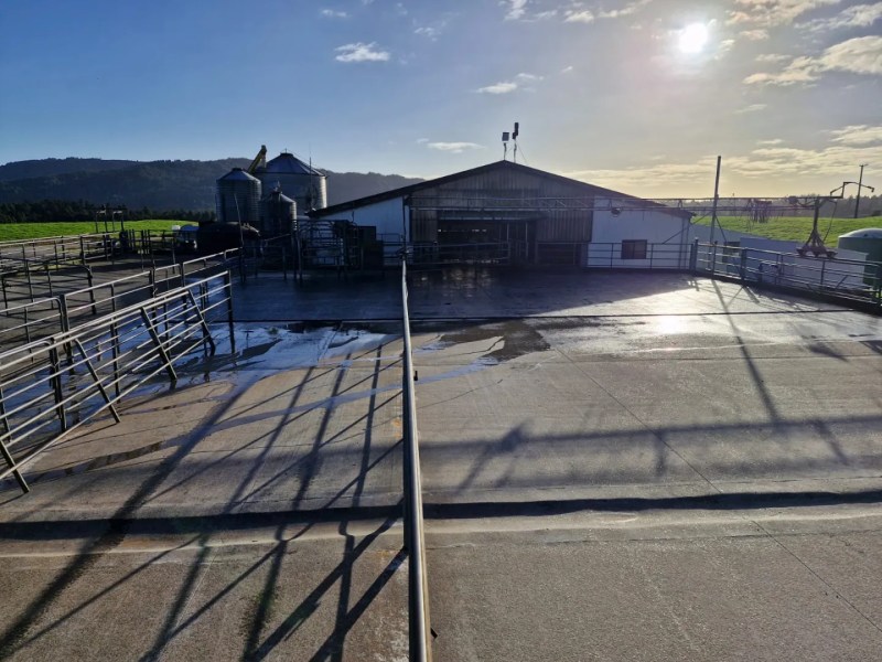 Rubber mats on dairy yard at Cranley farms