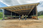 Creaming It Composting barn