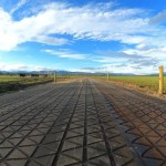 Dairy Grip Rubber Mat