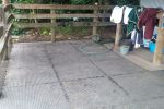 Double Stud Whole Pallet Deal