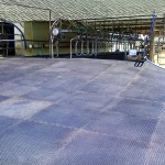 Double Stud Rubber Mat