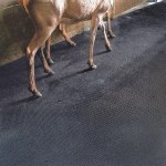 Double Stud Rubber Mat
