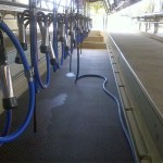 ErgoMat rubber mat