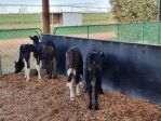 FlexiShield Plastic Barrier