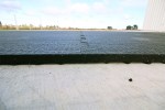 Horse Walker Mat