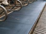KKM Cow Bed