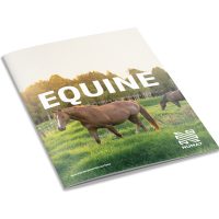 Equine_Catalogue_Render_White_BckGrnd
